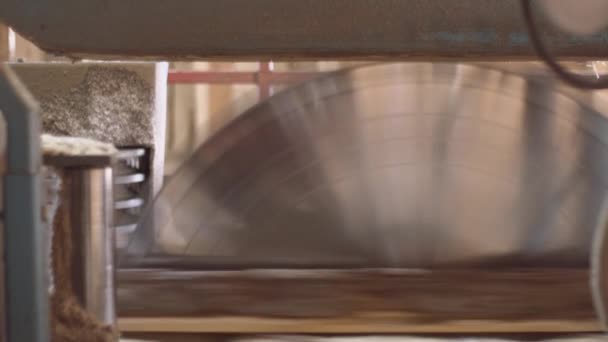 Промышленная резка пиломатериалов на досках на деревообрабатывающей машине — стоковое видео