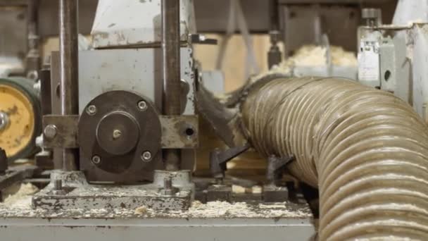 Máquina de carpinteiro refinar placas de madeira na fábrica serraria — Vídeo de Stock