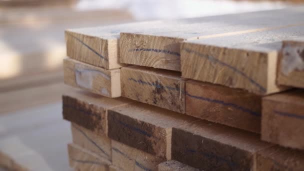 Ahşap fabrika bahçesinde depolanan paketlenmiş kereste tahta yığını — Stok video