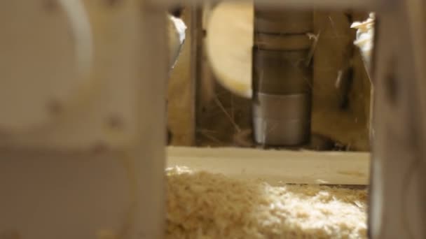 All'interno del banco da lavoro di raffinazione della tavola di legno di lavorazione alla fabbrica della segheria — Video Stock