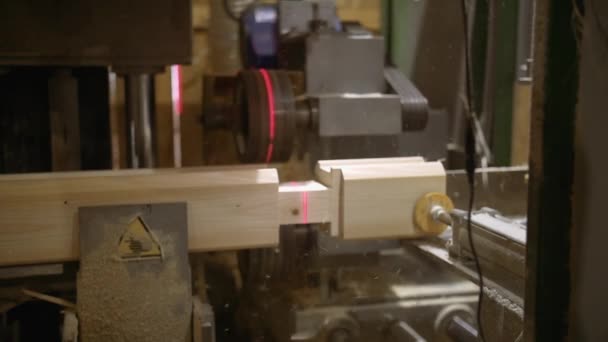 Macchina per la lavorazione del legno fa scivolo su blocco di legno presso la struttura segheria — Video Stock