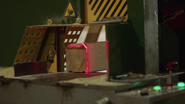Carpenter puts wooden bar into precise cutting machine with laser pointer — Stock Video