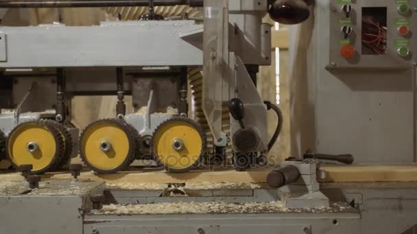 Wielen van plank raffinadeur machine draait op Houtzagerij-productie — Stockvideo