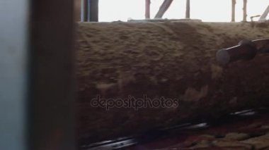 Kereste doğrama Fabrikası'nda makinede dairesel metal çalışan günlük gördüm