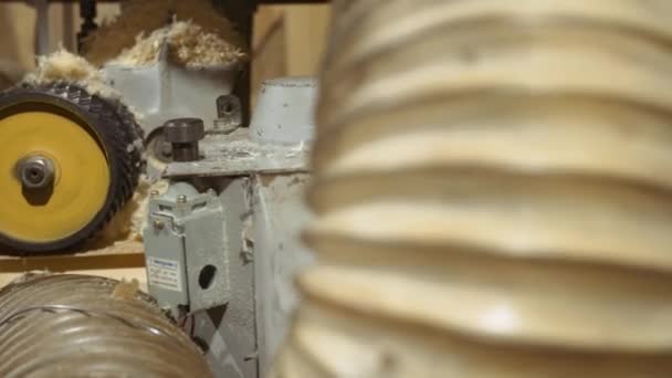 Bloco de madeira moagem em madeira tentando máquina de avião na fábrica serraria — Vídeo de Stock