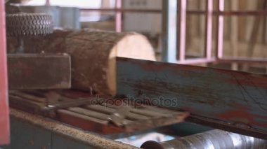 Ahşap tahta kereste fabrikası'nda marangoz makinedeki günlük kesilerek