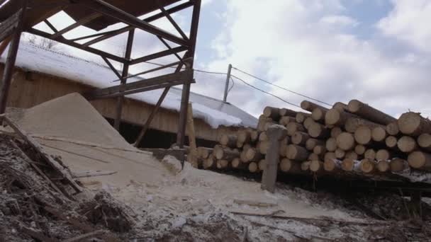 Zaagsel stapel op hout logboeken stapel met markeringen op de zagerij — Stockvideo