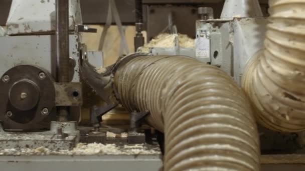 Теслярський верстат спіральний пиломатеріал дошки на заводі пиломатеріалів — стокове відео
