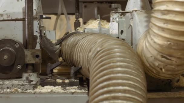 Tableros de madera de la máquina del carpintero en fábrica del aserradero — Vídeos de Stock