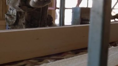 Marangoz endüstriyel testere tezgah ahşap günlüğü ile çalışır