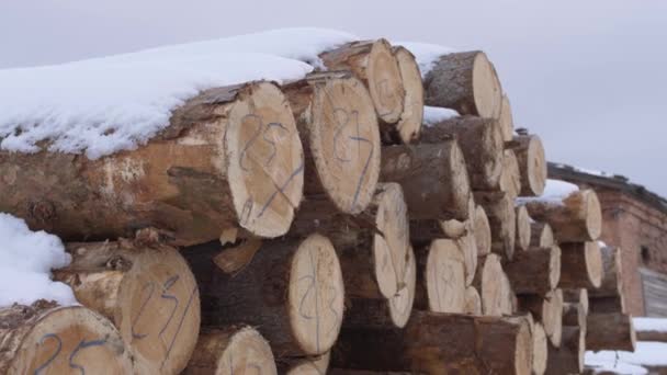 Zmontowalem drzewa pokryte w śniegu kilka numerów markerów w zakładzie obróbki drewna — Wideo stockowe