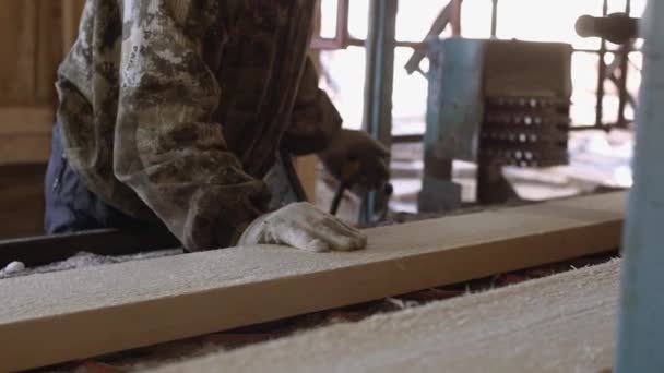 Woodworker manages industrial saw bench with timber log — Stock Video