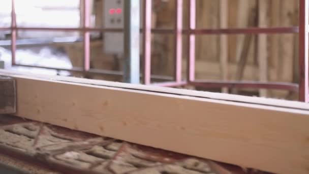 Tablero de madera cortado de tronco en la máquina de carpintería en la fábrica de aserraderos — Vídeos de Stock