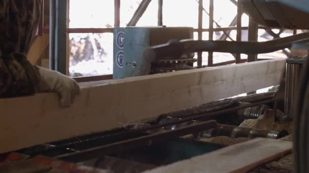 Carpintero opera máquina de sierra industrial con tronco de madera — Vídeos de Stock