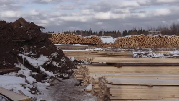 Montones de tableros de madera embalados almacenados en el patio del aserradero — Vídeos de Stock