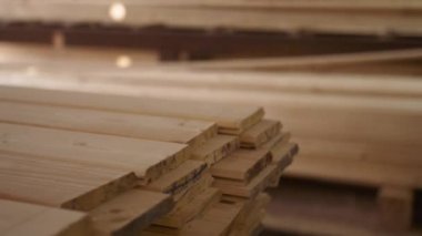 İşçi yığınları ahşap tesis depoda yalan dolu kereste tahta koyar