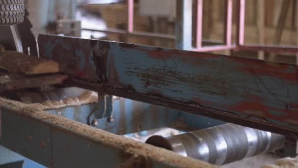 Peça de madeira cortada de log na máquina de madeira na fábrica de serraria — Vídeo de Stock