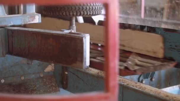 Tablón de madera cortado de tronco en la máquina de carpintería en la fábrica de aserraderos — Vídeo de stock