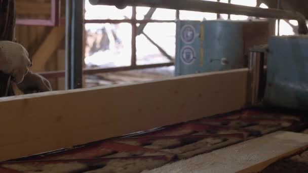 Trabajador de madera gestiona la máquina de sierra industrial con tronco de madera — Vídeo de stock