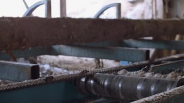 Ahşap günlük kereste fabrikası'nda tezgah üzerinde sürme