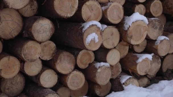 Stack of cutted lumber covered in snow on winter day — Stock Video