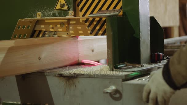 Woodworker cuts edge of wooden block into precise machine with laser pointer — Stock Video