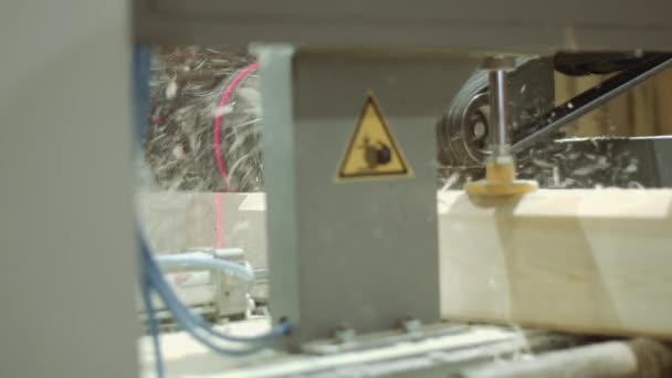 Snickare maskinen skär groove på träkloss på sågverket anläggning — Stockvideo