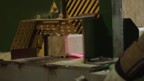 Timmerman snijdt rand van houten blok in nauwkeurige machine met laseraanwijzer — Stockvideo