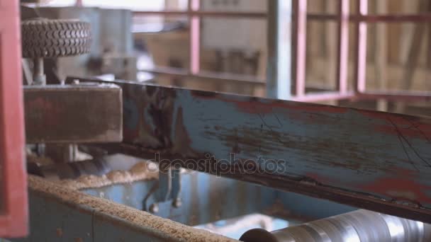 Pieza de madera cortada de tronco en la máquina de carpintería en la fábrica de aserraderos — Vídeos de Stock