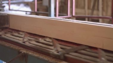 Ahşap parça kesilerek kereste fabrikası'nda marangoz makinedeki günlük