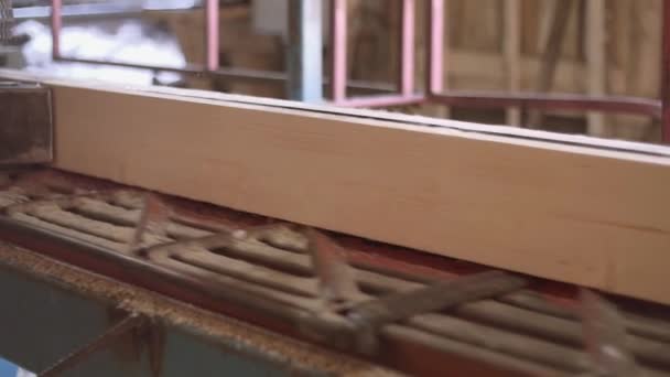 Pièce de bois coupée en rondins sur machine charpentier à l'usine de scierie — Video