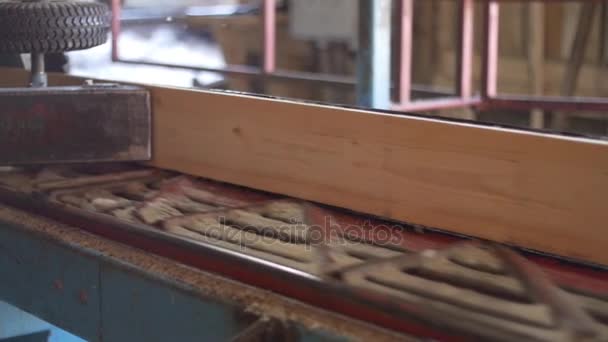 Tavola di legno tagliata di tronco sulla macchina per la lavorazione del legno presso la fabbrica di segherie — Video Stock