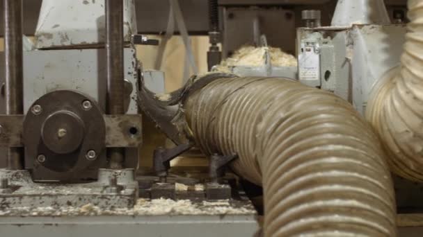 Machine de menuiserie affiner les planches de bois à l'usine de scierie — Video