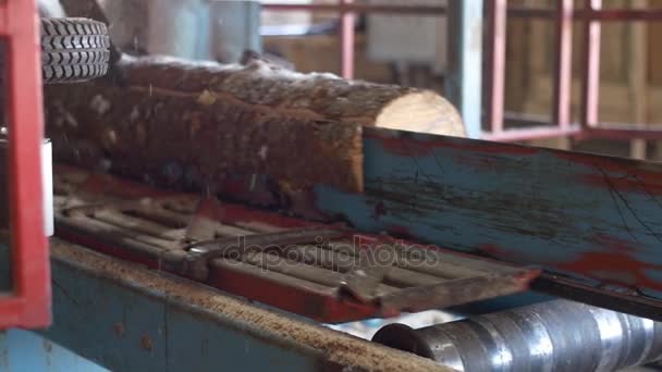 Tablón de madera cortado de tronco en máquina de carpintería en fábrica de aserradero — Vídeo de stock