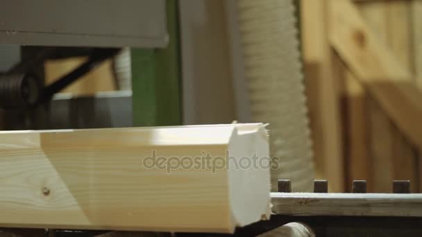 Carpintero opera máquina cortadora de madera industrial con bloque — Vídeos de Stock