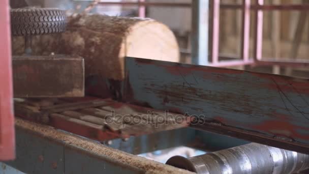 Tábua de madeira cortada de log na máquina de carpinteiro na fábrica de serraria — Vídeo de Stock