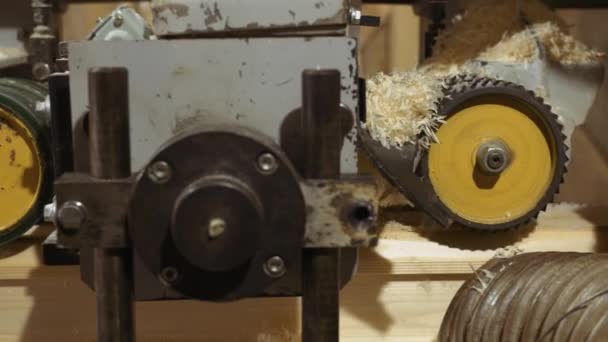Rectificado de bloques de madera en la máquina de unión de madera en la fábrica de aserraderos — Vídeos de Stock