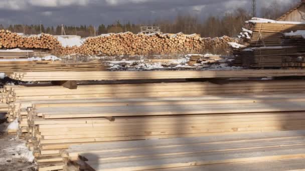 Pilas de tablón de madera embalada que yacen en el patio del aserradero — Vídeos de Stock