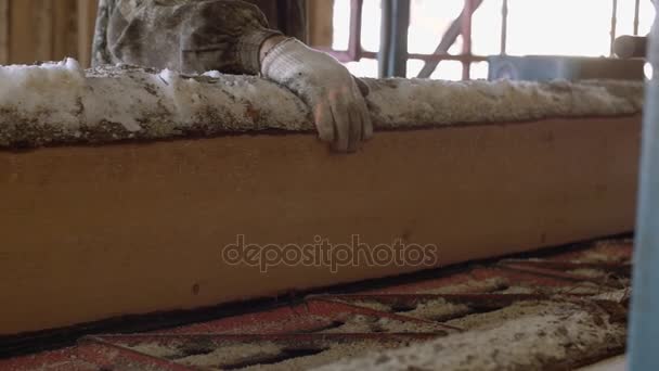 Woodworker Manages Industrial Saw Bench With Wood Log Stock