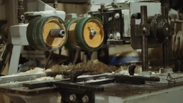 Schatten des Tischlers, der an Schreinermaschine im Holzwerk arbeitet — Stockvideo