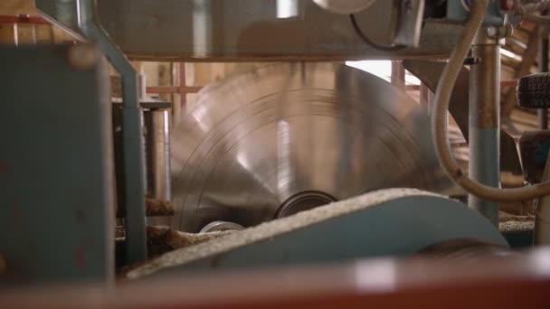 Запуск промышленного большого круглого лезвия пилы на деревообрабатывающей машине — стоковое видео