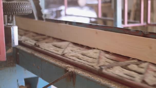 Σκάφους ξύλου cutted του αρχείου καταγραφής στο μηχάνημα ξυλουργός στο πριονιστήριο εργοστάσιο — Αρχείο Βίντεο