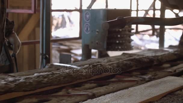 Карпентер діє промислових верстат з деревини журналу — стокове відео