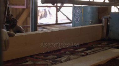 Woodworker makinesi endüstriyel gördüm kereste günlüğü ile çalışır