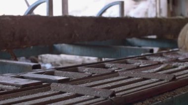 Ahşap günlük kereste fabrikası'nda tezgah üzerinde sürme