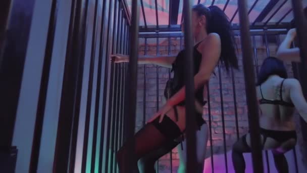 Sexiga unga flickor lockande danser i svarta underkläder i natt club bur — Stockvideo