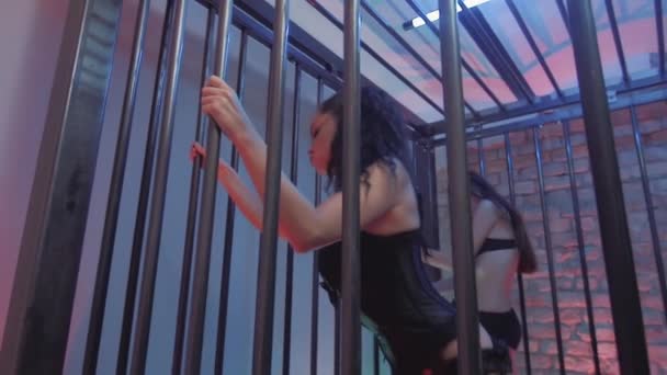 Δελεαστικό νεαρά κορίτσια σε μαύρο εσώρουχα σέξι χορούς κρατώντας μεταλλικό κλουβί bars — Αρχείο Βίντεο