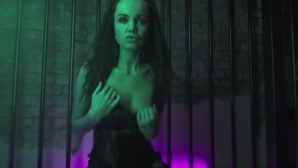 Frívola jovem morena em lingerie preta movimentos sedutores em gaiola de metal — Vídeo de Stock