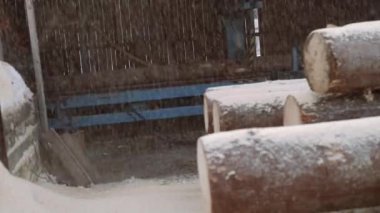 Talaş sonbahar ahşap kazık kereste fabrikası, günlükleri, insanların çalışma arka plan üzerinde