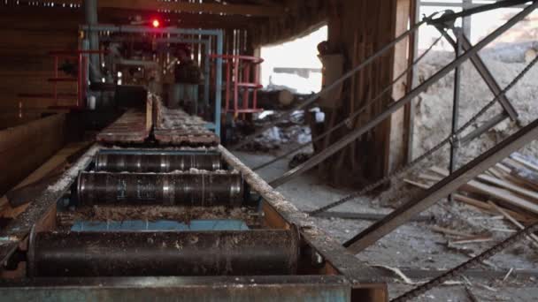 Woodworker corte pedaço de madeira na bancada de serra industrial — Vídeo de Stock